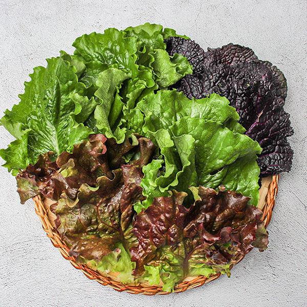 유럽샐러드 쌈채소 1kg 특수야채 