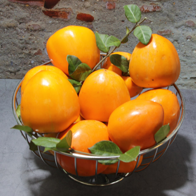 광양 대봉감 10kg /옵션선택/