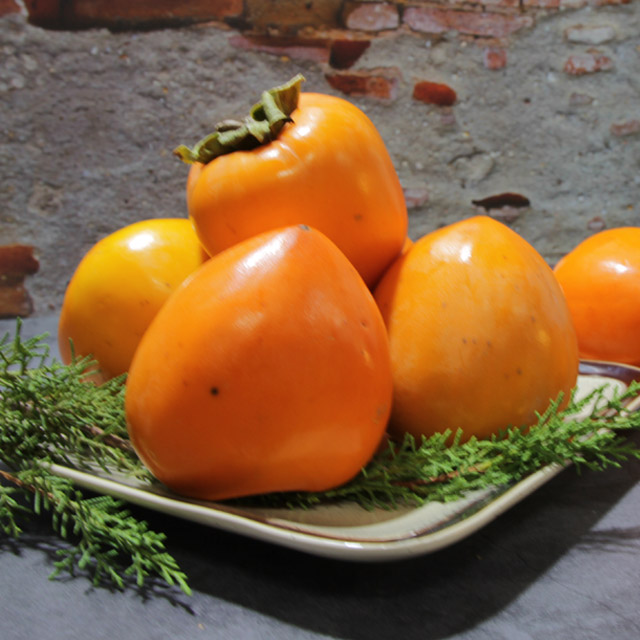 광양 대봉감 10kg /옵션선택/