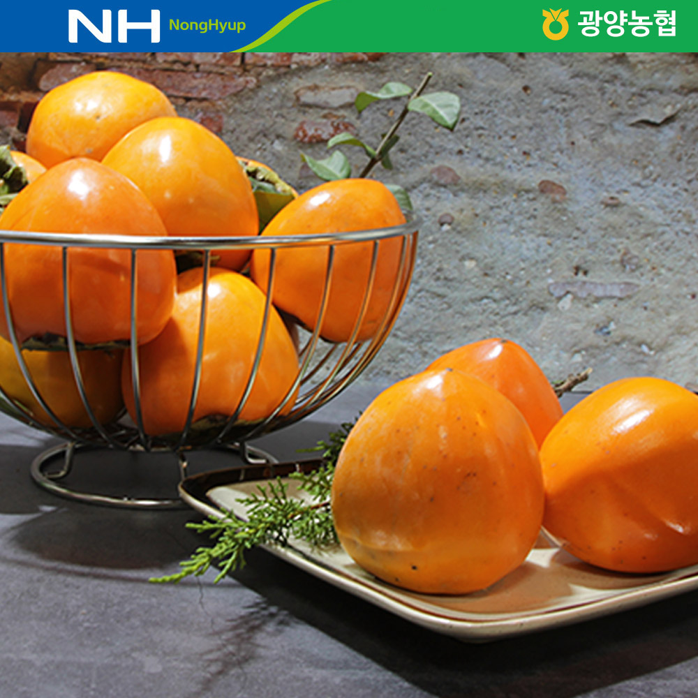 광양 대봉감 10kg /옵션선택/
