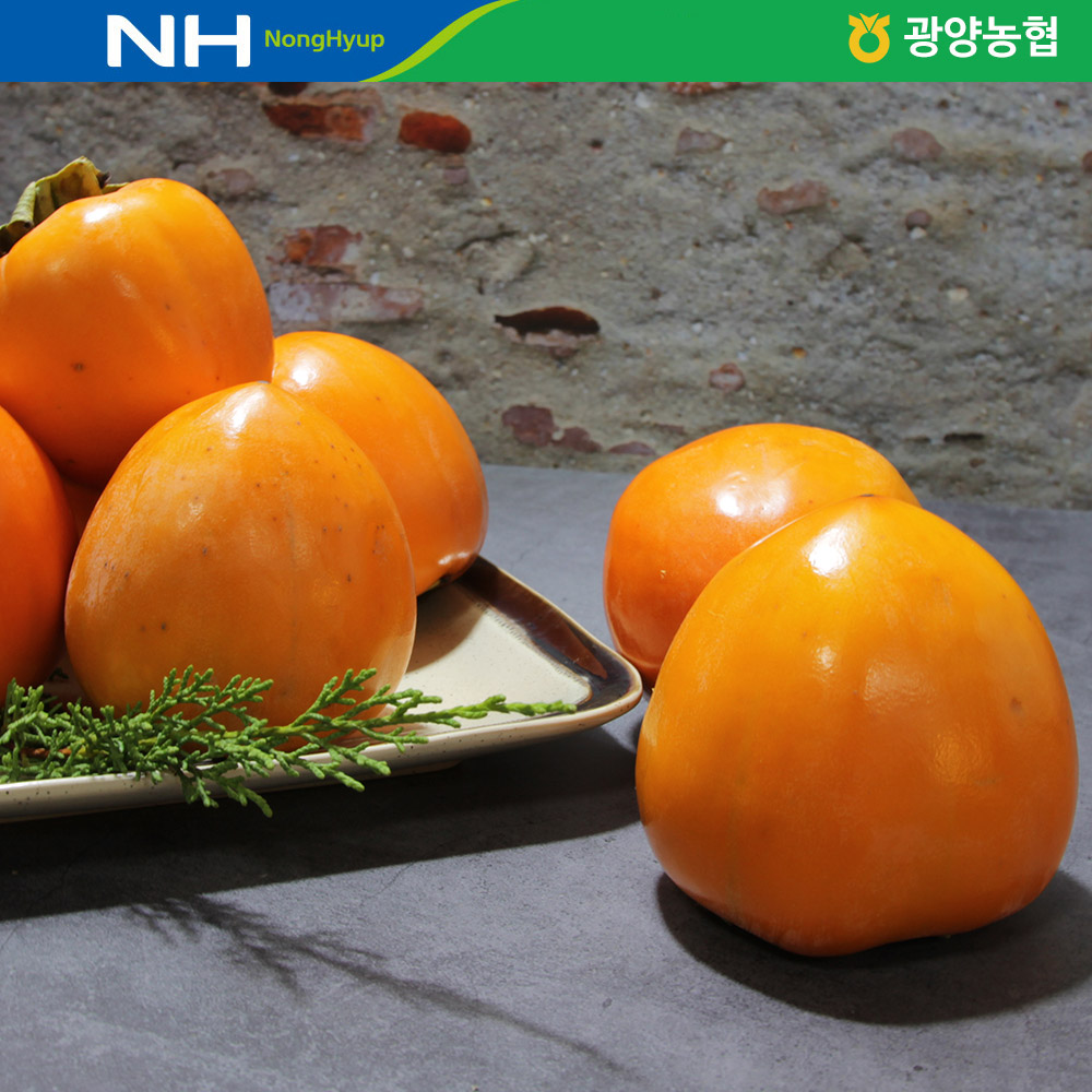 광양 대봉감 10kg /옵션선택/