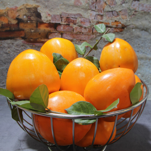 광양 대봉감 10kg /옵션선택/