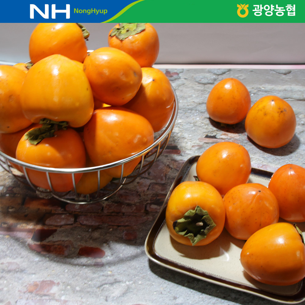 광양 대봉감 10kg /옵션선택/