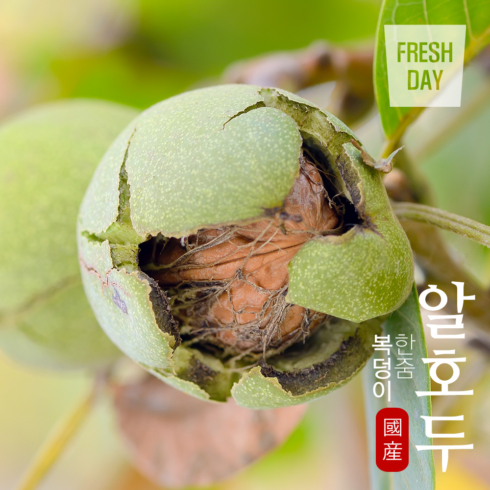 정읍 국내산 신령 알호두 피호두 정품 (1~5kg)