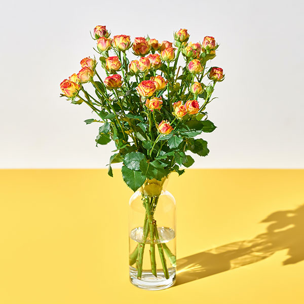 미니 장미 아이라이너(한 단)