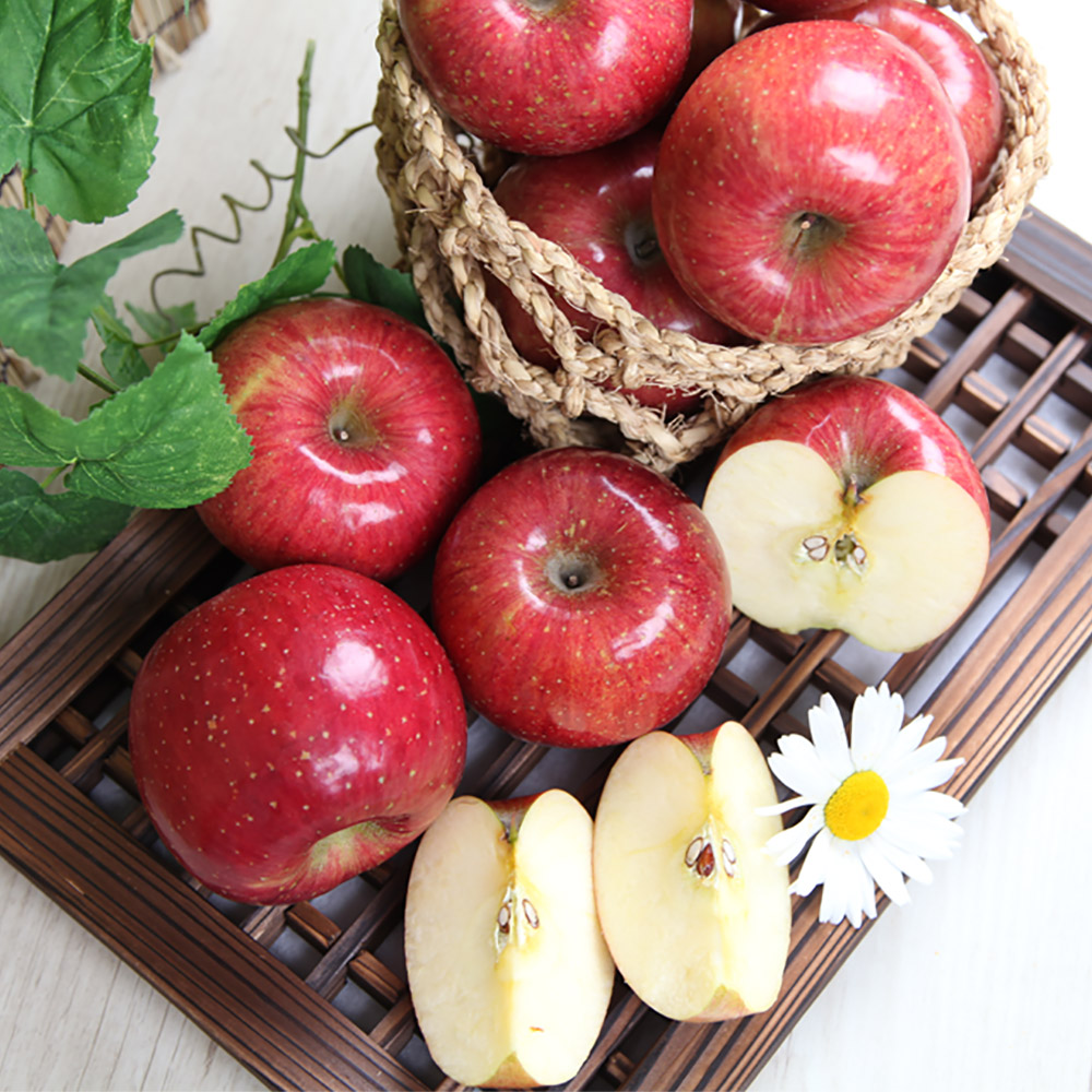 국내산 사과 10kg /옵션선택