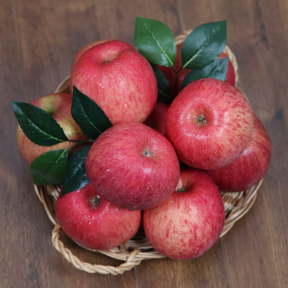 국내산 사과 10kg /옵션선택