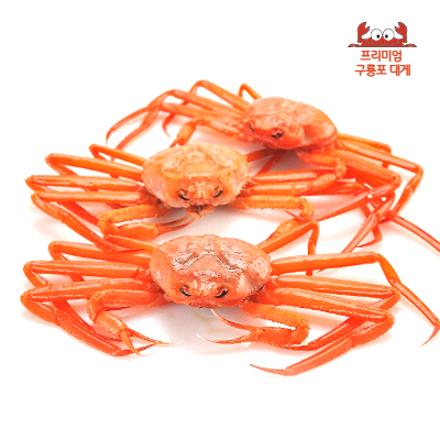 (산지직송) 프리미엄 포항 구룡포 대게 3마리 생물 대표이미지 섬네일
