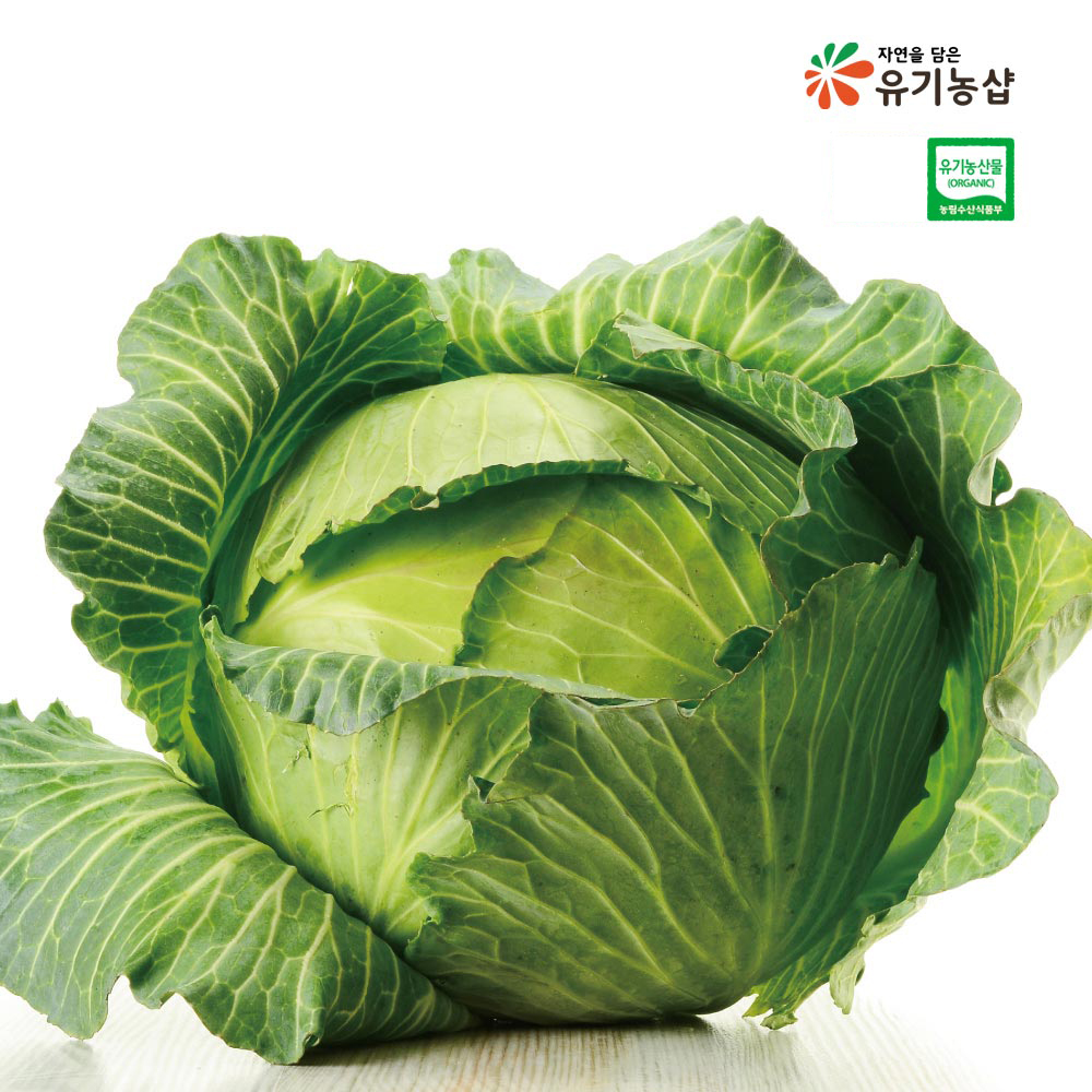 [초록한입] 유기농 양배추 2kg + 건강즙 증정