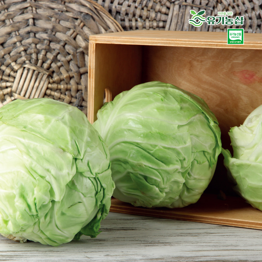 [초록한입] 유기농 양배추 2kg + 건강즙 증정