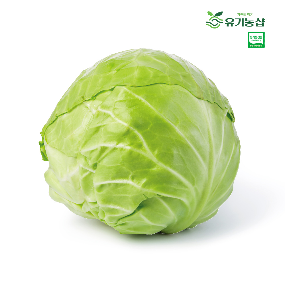 [초록한입] 유기농 양배추 2kg + 건강즙 증정
