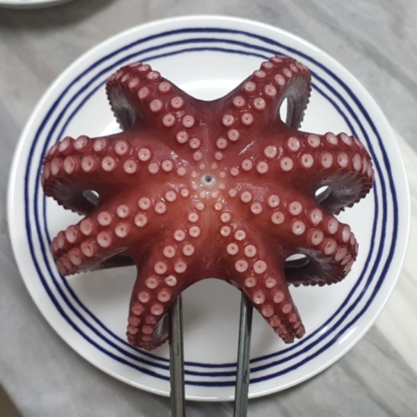 통영 뻘낙지 세발낙지 돌문어 활문어 산소포장 (낙지 1미/돌문어 1kg)