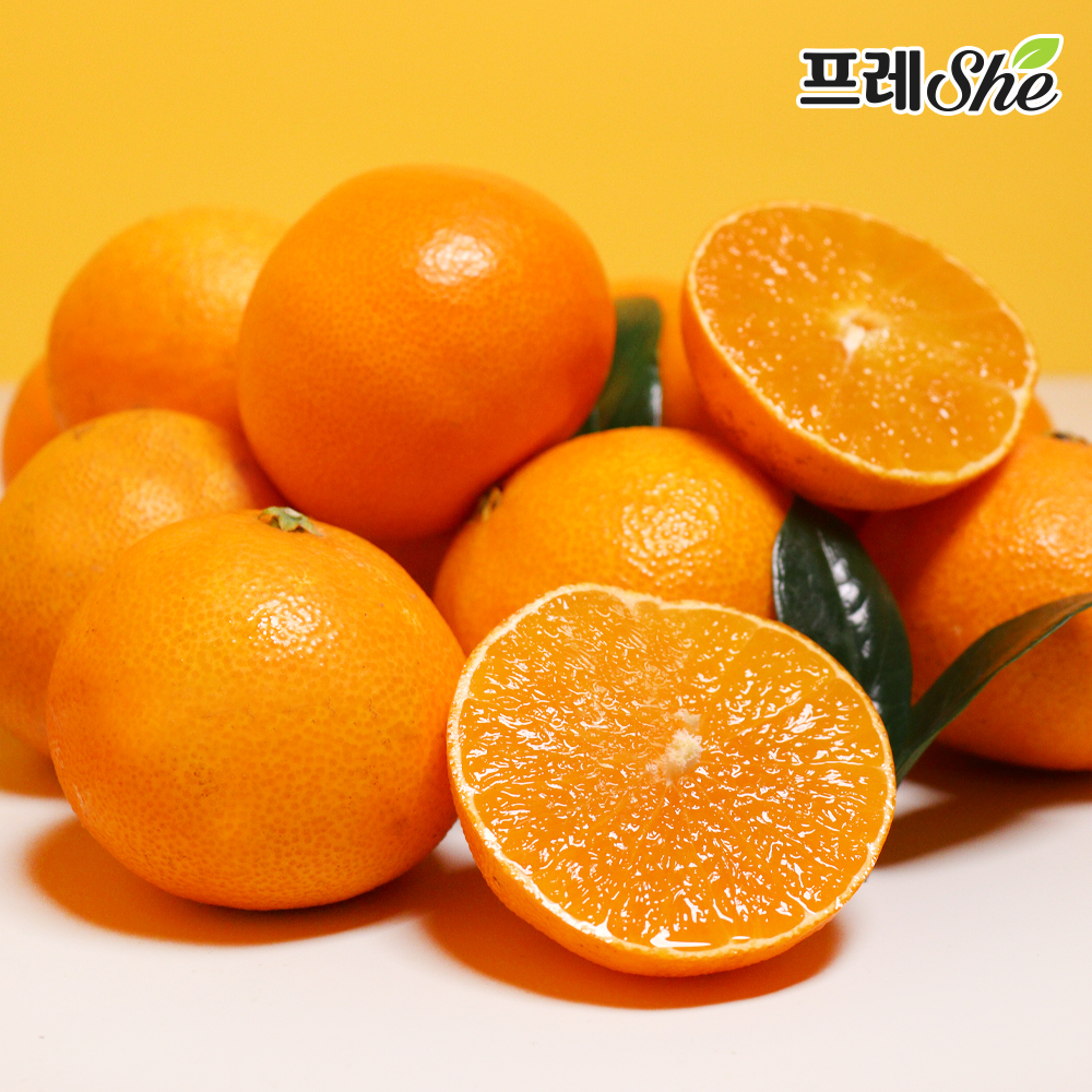 [온도씨]제주 고당도 황금향 2.5kg (중과/10-12과) 대표이미지 섬네일