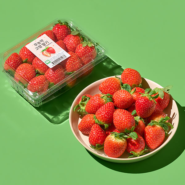 [과일추천]무농약 고령딸기(500g)