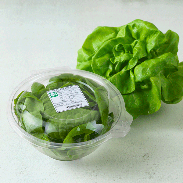 [신규입점]무농약 버터헤드레터스(1입.70g내외)