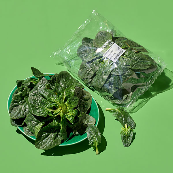 비금 섬초 (400g)