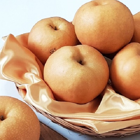 나주 흠집배 5kg
