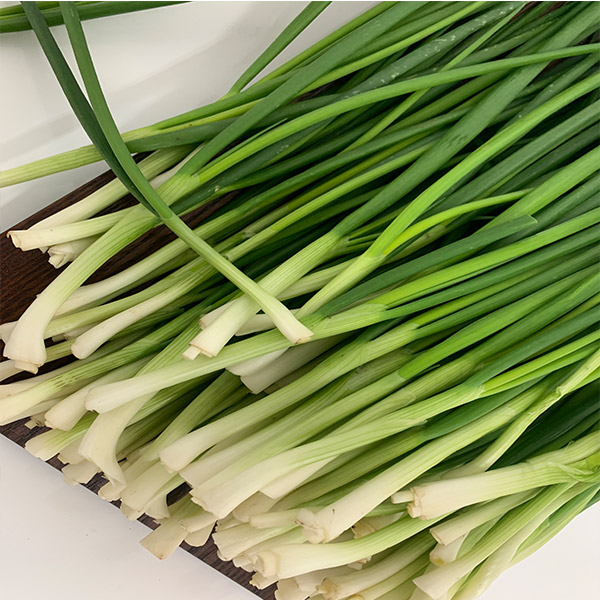 농부가 정성스럽게 키운 쪽파 / 깐쪽파 1단 1kg 내외