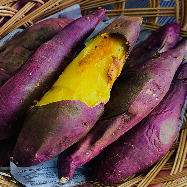 영암 유기농 토울 고구마 3kg / 5kg / 10kg