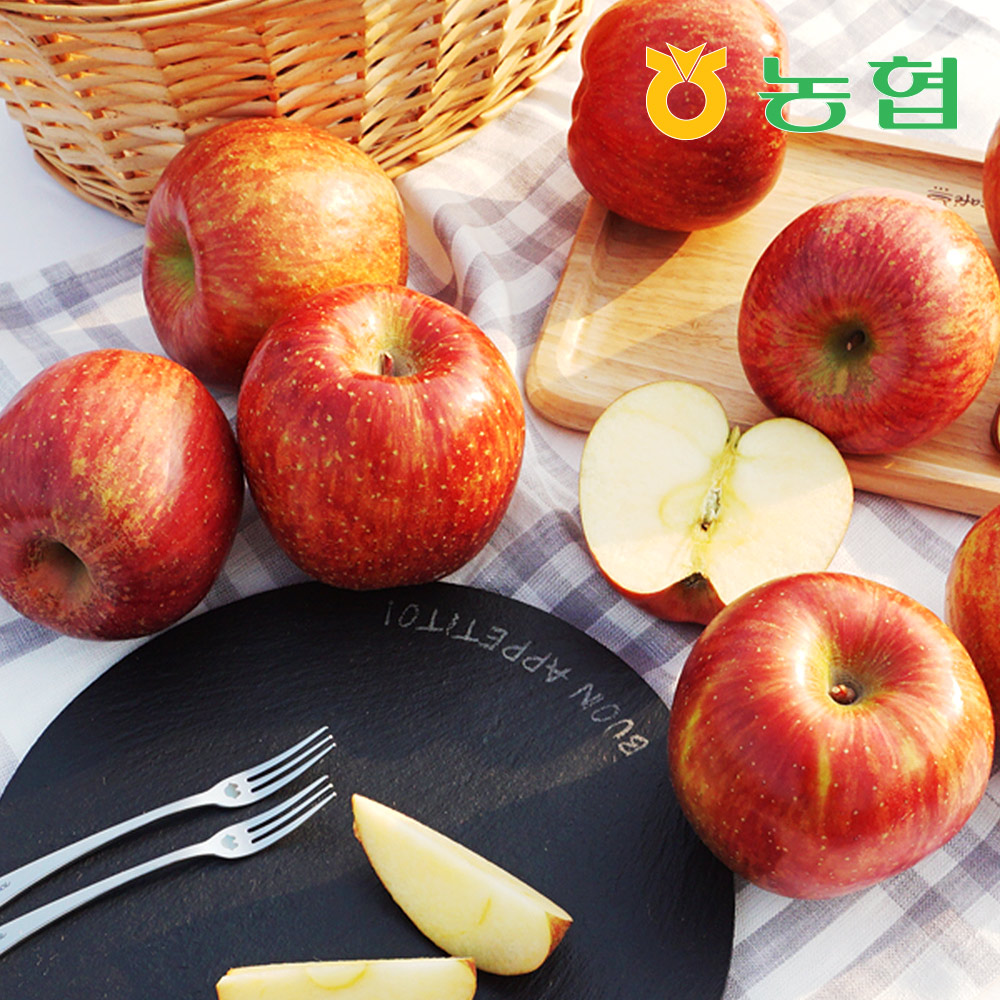 [농협] 정품 안동 사과 프리미엄 선물세트 (4~5kg)