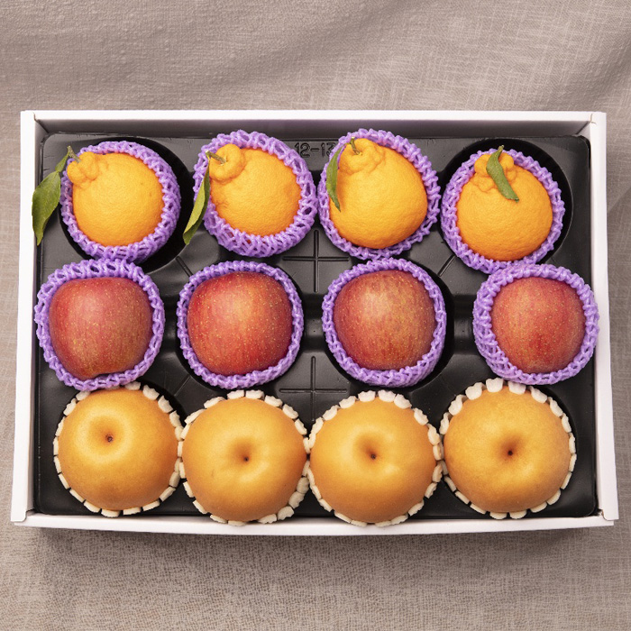 사과배한라봉 명절 설 선물세트 4.5kg/5kg/5.5kg