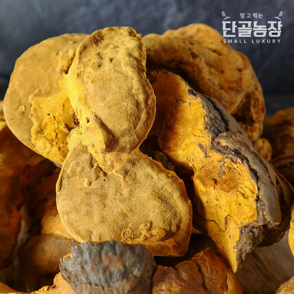 류충현버섯명장 상황버섯 선물세트 (300g~1kg)