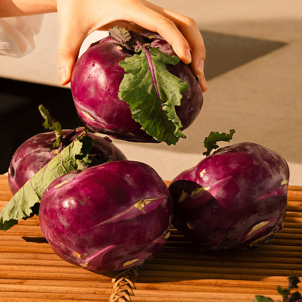 아삭달콤한 제주 콜라비 2kg / 3kg / 5kg / 15kg