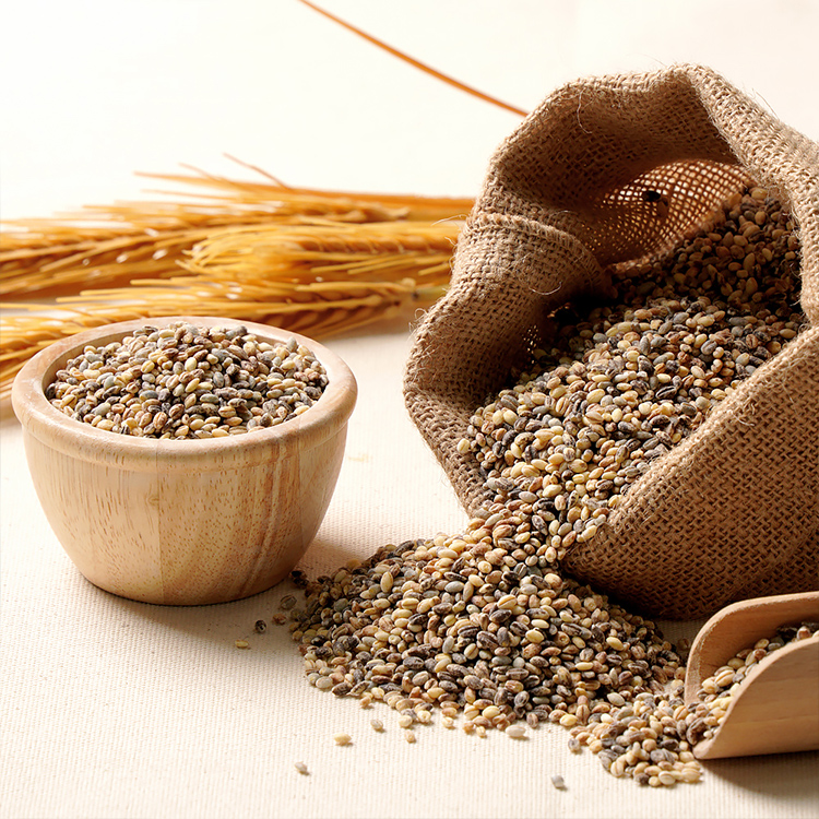 담은제주 컬러보리 500g x 3봉 (제주산)