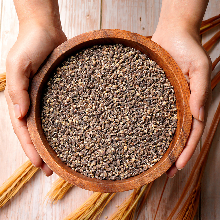 담은제주 우도 까망보리 500g x 3봉 (제주산)