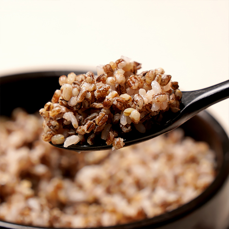 담은제주 우도 까망보리 500g x 3봉 (제주산)