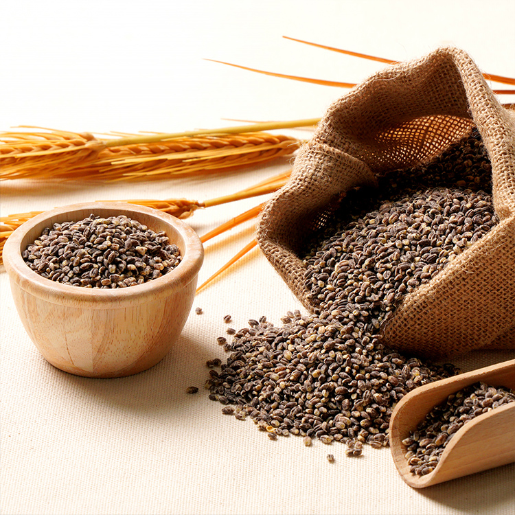 담은제주 우도 까망보리 500g x 3봉 (제주산)