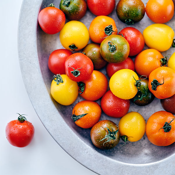 GAP 부드러운 미니마토(750g) 