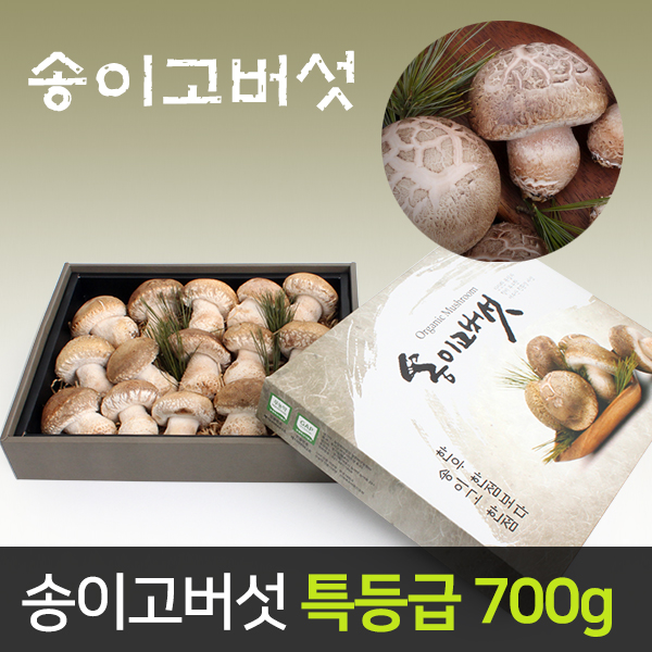 여주 특산품 송이고 버섯 선물세트 700g