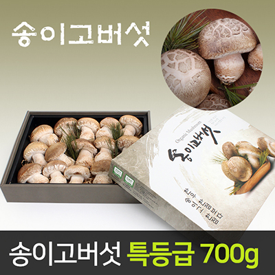 GAP 여주 특산품 송이고 버섯 선물세트 700g 대표이미지 섬네일