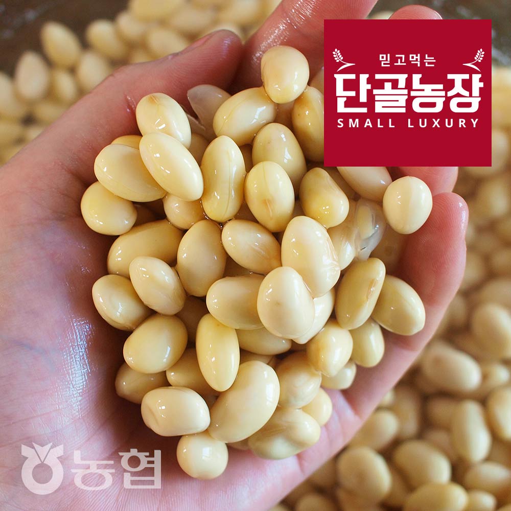[농협] 간편한 장담기 국산콩 안동 알메주 (1.3~5kg)