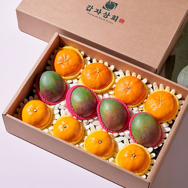 [설선물 마음전송] VIP망고혼합과일세트(5kg내외/애플망고4입+천혜향4입+레드향4입) 대표이미지 섬네일