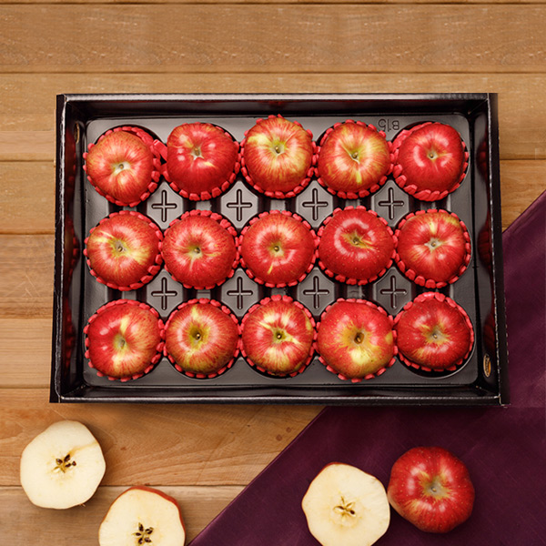 [사과꽃필무렵] 사과선물세트 4kg(15~16과) 외 1종