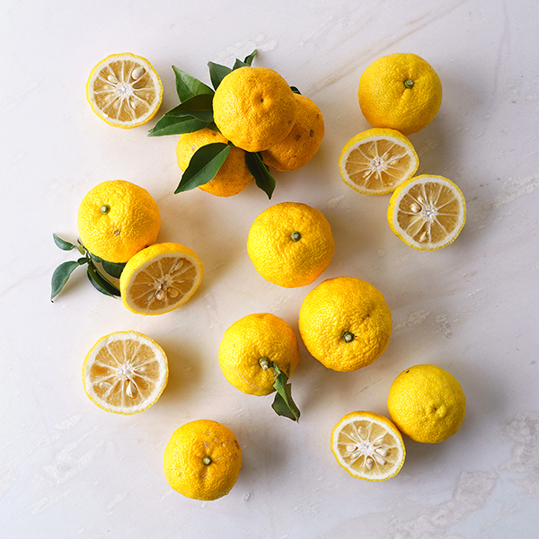 유기농 햇 유자 (3kg,30과내외 / 5kg,50과내외)