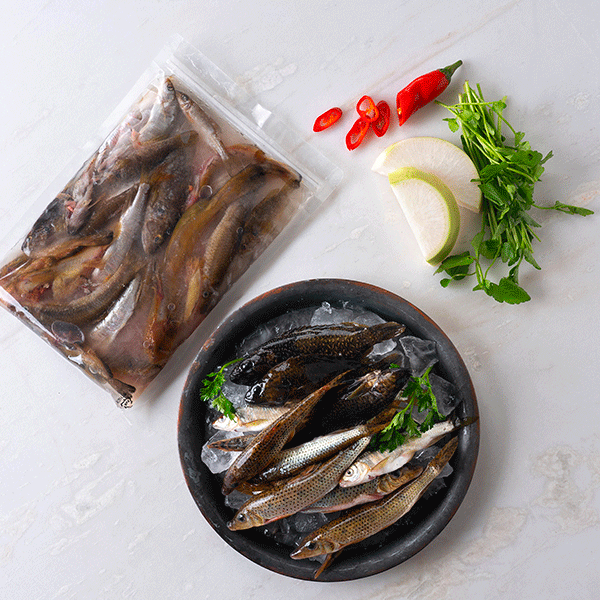 강원도 자연산 민물고기(450g/냉동)