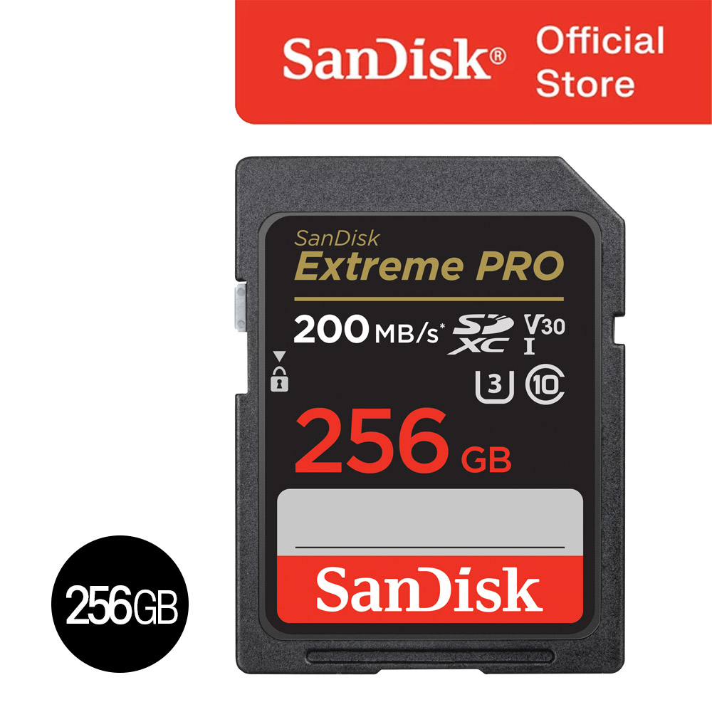 샌디스크 익스트림 프로 SDXC 256GB