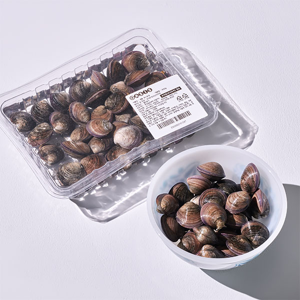 남해안 모시조개(400g/생물)