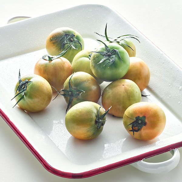 GAP 대저 짭짤이 토마토(S-2S/500g)