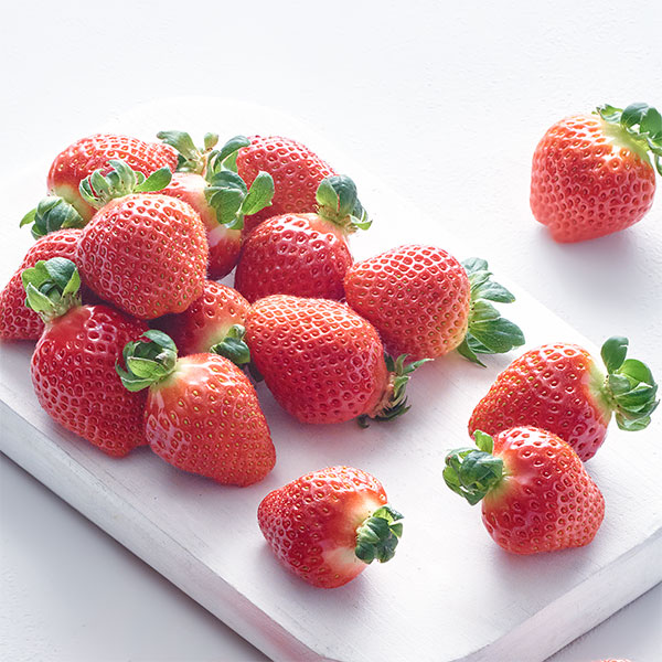 유기농 한단 육보딸기(500g)