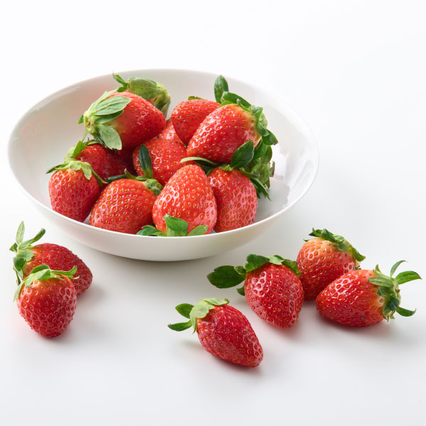 무농약 한단 설향딸기