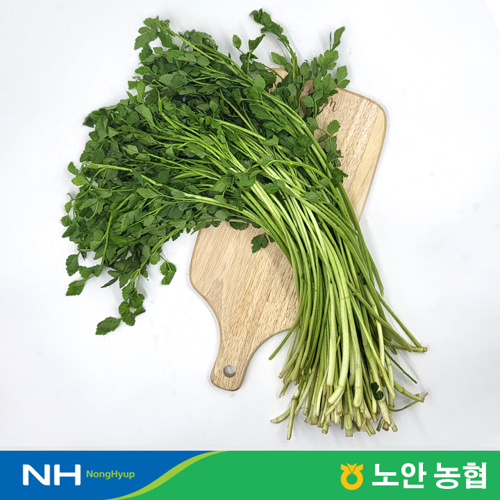 [산지직송] 노안 미나리 1kg/2kg 골라담기 / 무료배송