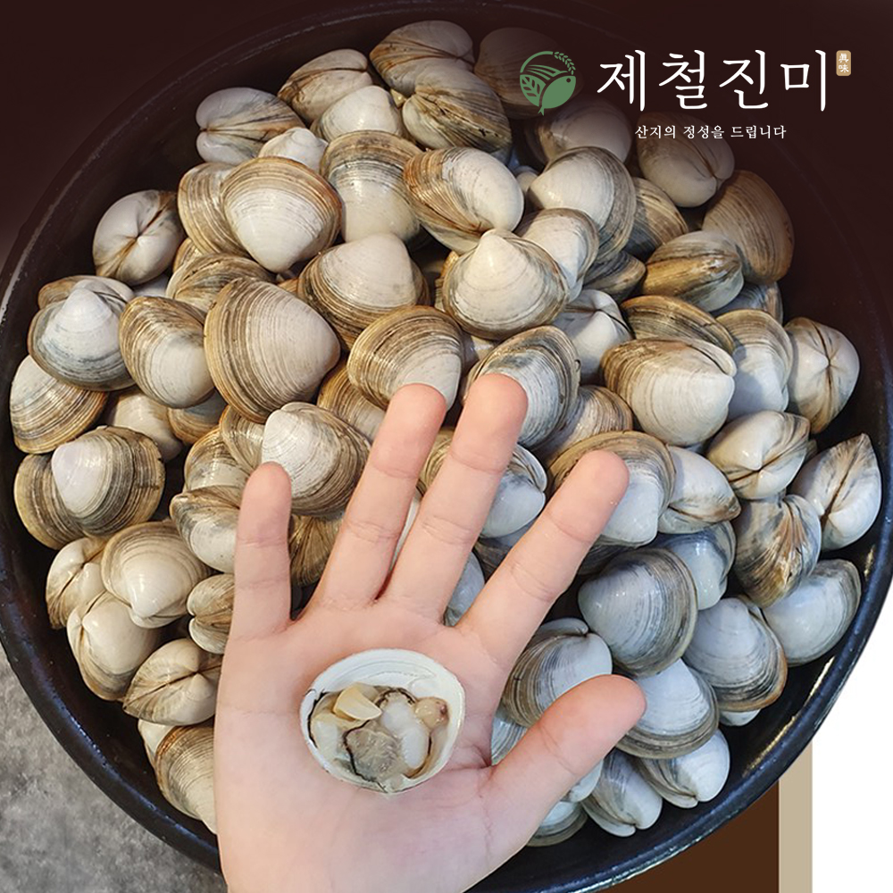 [산소포장] 서천갯벌 동죽조개 1kg 대표이미지 섬네일