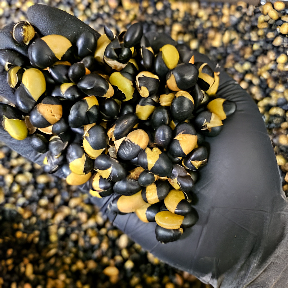 MFFM 국산 볶은서리태 검은콩 뻥튀기 500g