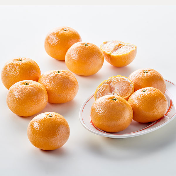 청견오렌지10kg/40과전후/박_매장발주