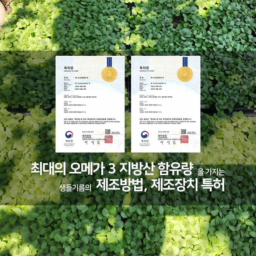 농부플러스 국산 냉압착 생들기름 저온착유 들기름 참기름 180ml 200ml