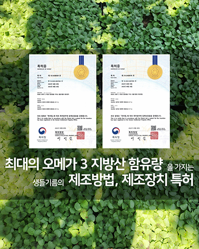 농부플러스 국산 냉압착 생들기름 저온착유 들기름 참기름 180ml 200ml